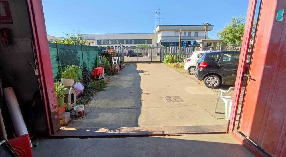 Photo 15